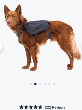 RuffWear Pack Dog Saddlebag in Dark Gray